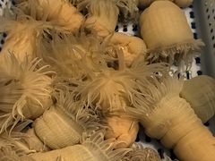 -文儒九号·闽菜馆(三坊七巷店)