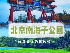 -南海子公园