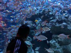 -成都浩海立方海洋公园