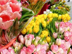 -循礼门鲜花花市(武汉循礼门店)