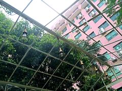 -RGF(巨鹿路店)
