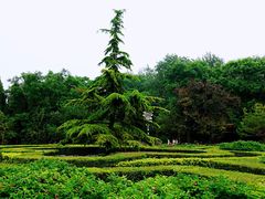-黄村公园