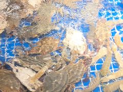 -小时候焗海鲜(鄞州万达店)