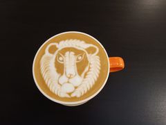 -SAFARI COFFEE