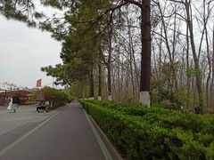 -合肥滨湖国家森林公园