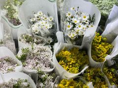 -循礼门鲜花花市(武汉循礼门店)