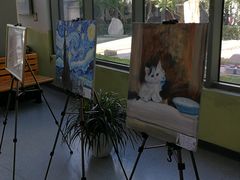 -北京第二实验小学