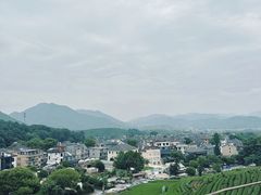 -龙坞茶村