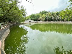 -广东茂名森林公园