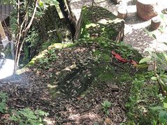 -金堂县云顶石城风景区