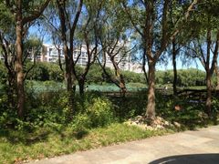 iphone_upload_pic-新江湾城公园