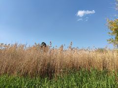 -捞渔河湿地公园