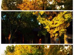 -西园寺