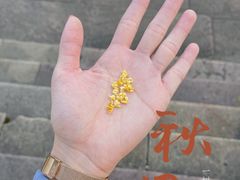 -宁波市保国寺古建筑博物馆