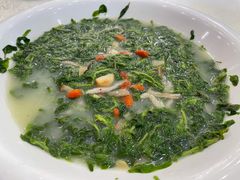 上汤枸杞芽-嘉禧大酒楼(康城广场店)