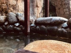 -明月山天沐温泉度假村