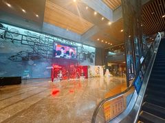 -万达影城IMAX(海口日月广场店)