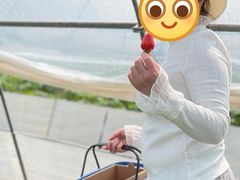 -小鱼草莓采摘园农家乐·小鱼餐厅