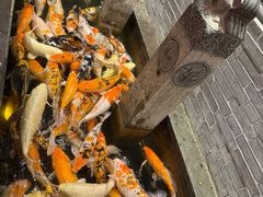 -若石足道SPA 连锁(丹东街店)
