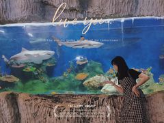 -泉州海丝野生动物世界