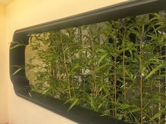 -同湘会馆(粤垦路店)