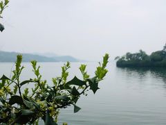 -天目湖山水园