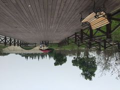 海湾国家森林公园(兆强文化海湾店)-上海海湾国家森林公园