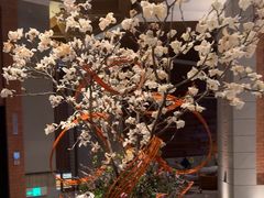 -浅深Cheersum(曹杨店)