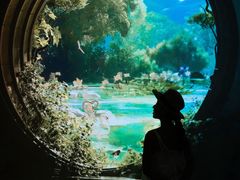 -中国湿地博物馆