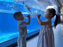 -海合安成都极地海洋公园