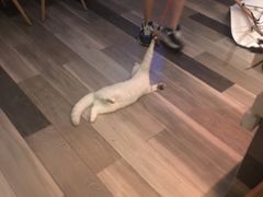 -好享派·团建轰趴馆(旗舰店)