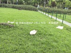 -大宁公园