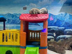 -华夏文旅海洋公园