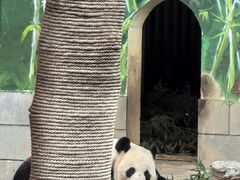 -南昌动物园
