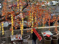 -田园印象·成都土菜院子(华阳店)