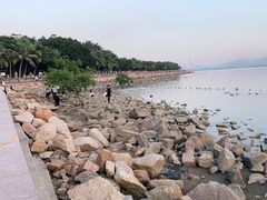 -深圳湾公园(南山区)