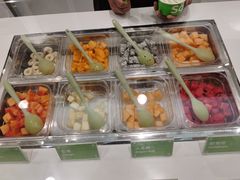 -Salud撒露欧洲冻酸奶(五道口购物中心店)