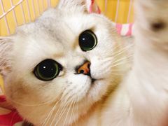 -乐宠宠物店(世纪金源店)