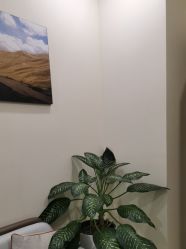 -北京米扬丽格医疗美容·联合丽格鼻整形中心