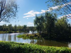 -东郊湿地公园