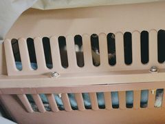 -芭比堂宠物医院·全科爱猫医院·仁德分院