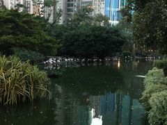 -九龙公园