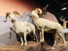 -陕西自然博物馆