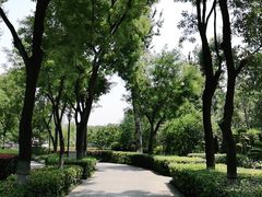 -莲湖公园