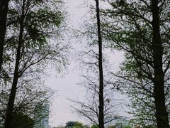 -东山湖公园