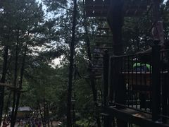 -梦幻奥陶纪景区