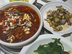 沙姜脆肉鲩鱼腩脆肉鲩鱼片-红日饭店(裕隆三路店)