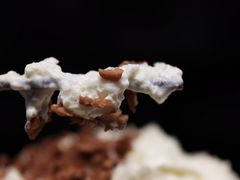 幽兰拿铁-茶颜悦色(九龙仓从前慢茶叶子店)