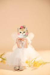 -小熊维尼高端儿童摄影(宝安旗舰店)