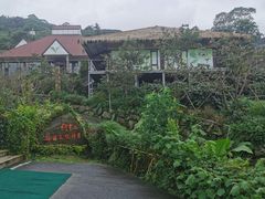 -优游吧斯邹族文化部落